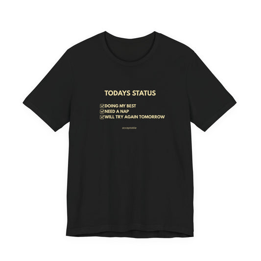 Todays Status T-Shirt | Funny Checklist T-Shirt