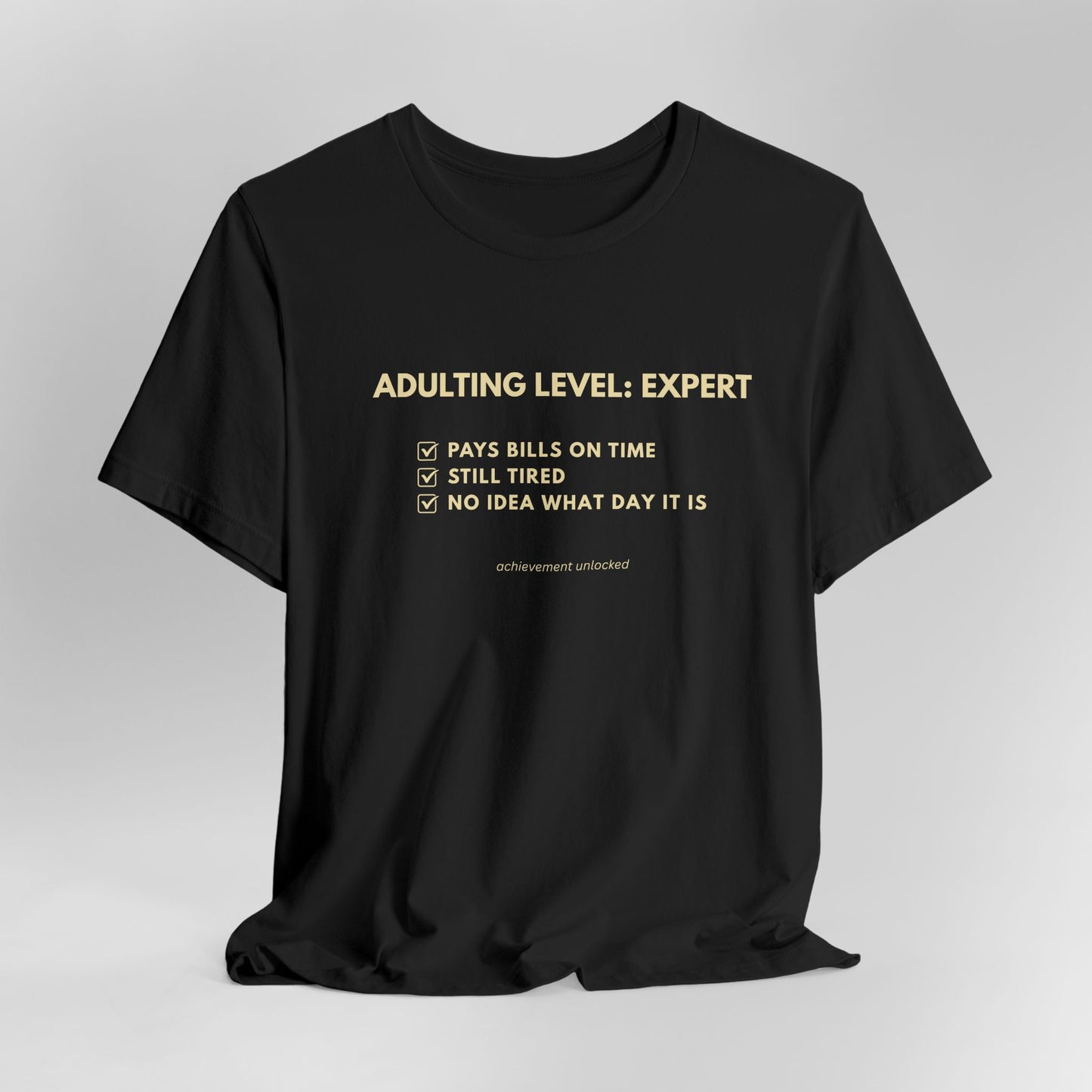 Adulting Level: Expert Tee - (unisex t-shirt)